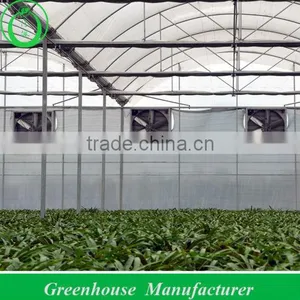 High Quality Strong Greenhouse Structure thumbnail-1