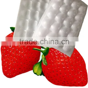 High Quality OEM Foam Food Packaging Tray, Strip EPS Foam Tray for Packaging, EPS Plastic Foam Meat Tray thumbnail-5