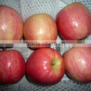 Fuji Apple in China thumbnail-1