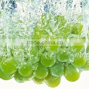 Multifunctional Fruit And Vegetable Cleaning Machine Universal Fruit Washing Machine thumbnail-2