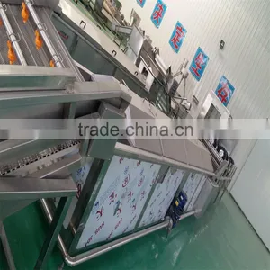 Automatic French Chips Production Line thumbnail-6