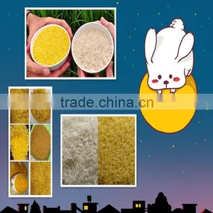 Man-made Rice Processing Line thumbnail-4