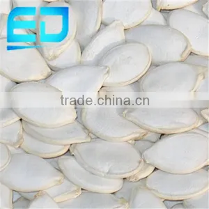 Top Quality Snow White Pumpkin Seeds, Roasted Pumpkin Seeds Snowwhite thumbnail-1