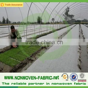 Hydrophilic Suitable Disposable Ground Cover Nonwoven thumbnail-2