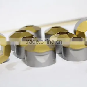 High Quality TiN Coating Trim Die Trimming Die thumbnail-1