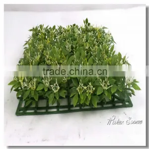 High Quality Cheap Price Plastic Grass Mat Simulation Grass Carpet on Sale thumbnail-1