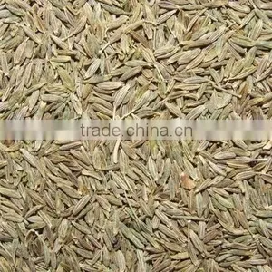Cumin Seed, Mustard Seed Price thumbnail-1