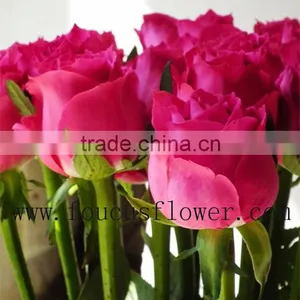 Flower Bouquets Flower Pots Flower Vase From Yunnan, China thumbnail-1