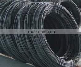Wire Rod Li Xiaoxi thumbnail-4