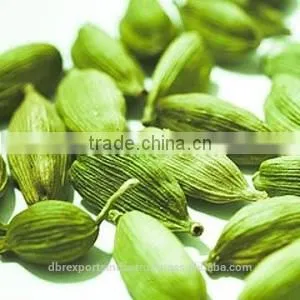 Cardamom Oil thumbnail-1