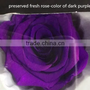 Export Long-lasting Dried Flowers Highest Quality Preserved Flowers Rose thumbnail-6