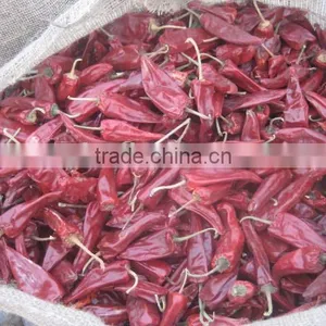 Yidu Chilli thumbnail-1