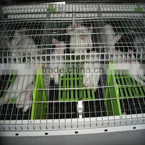 Automatic Rabbit Equipment thumbnail-1