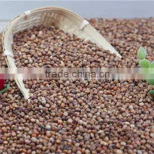 2016 Non-GMO Organic Glutinous Red Sorghum Sticky Sorghum thumbnail-3