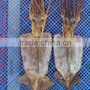 High Qulity Dry Squid for Sale thumbnail-1