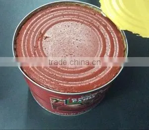 Wholesale Different Tomato Paste Can Sizes/Canned Tomato Paste Factory thumbnail-6