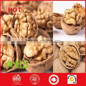 New Crops Wlanut in Shell thumbnail-1