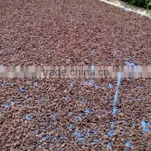 Black Cardamom From Viet Nam thumbnail-3