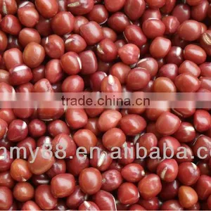 Selected Medium Red Bean 3.2-4.8mm thumbnail-1