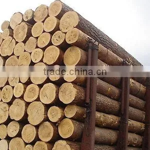 Wood Round Logs /Timber Log / Sawlogs / RUSSIAN ORIGIN thumbnail-2