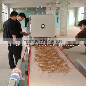 Tenebrio Molitor Dryer Machinery/Factory Supply Herbs Microwave Drying Sterilizer Machine thumbnail-2