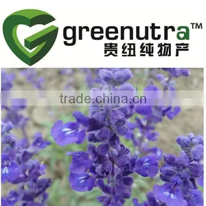 Clary Sage Extract thumbnail-1