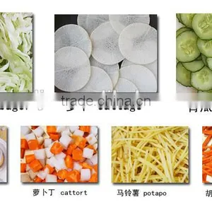 2015 Multifunctional Food Cutting Machine for Fruit, Vegetable and Meat thumbnail-3