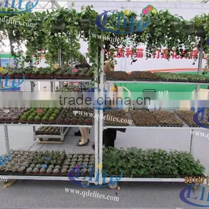 251Seedling Trolleys thumbnail-5