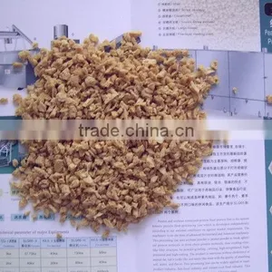 Direct Factory Price First Grade Soya Protein Food Making Machine thumbnail-6