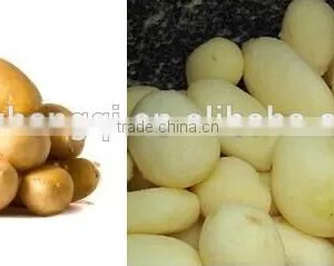 Hot Slae Cheap Sweet Potato Peeling Machine, Potato Washing and Peeling MachinePP30A thumbnail-2