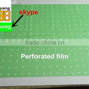 Blow Molding LDPE Plastic Green Color Tomato pe Tube Perforated Film thumbnail-1