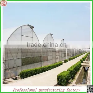 China Commercial Plastic Film Greenhouse for Sale thumbnail-1