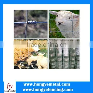 Cattle Fence Post thumbnail-3