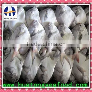 80-100g Silver Pomfret Seafood thumbnail-1