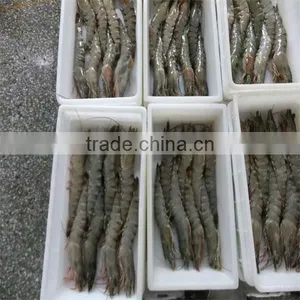 Seafood Mail Order Shrimp thumbnail-1