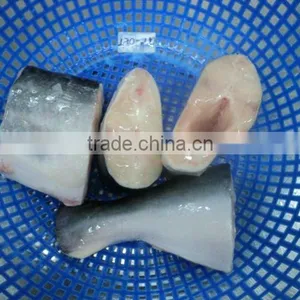 Frozen Pangasius Steak thumbnail-1