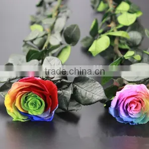 Wholesale Beautiful Real Natural Preserved Flower Preserved Rose With Stem thumbnail-1