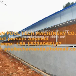 Oman Chicken Farm H Type Automatic Chicks Cage & Pullet Cage in Brooding Room With Poultry Climate Control thumbnail-2