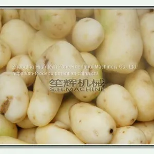 Commercial Fish Scale Peeling Machine Sweet Potato Taro Radish Ginger Peeling Machine thumbnail-3