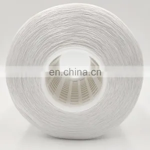 High Tenacity Sewing Thread 100% Continuous Filament Polyester Thread for Furniture for Swimwear 150/1 300/1 thumbnail-3