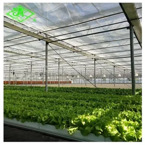 Hot Sale UV-protection Plastic Sheed 3-5 Layers Clear Anti-fog Plastic Film Covering Greenhouse thumbnail-3