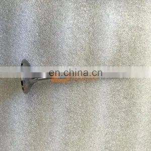 Hot Product SINOTRUK HOWO Truck D12 Engine Assembly VG1246050021/22 Intake And Exhaust Valve thumbnail-2