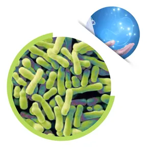 High Purity Bifidobacterium Animalis Subsp 100 Billion Cfu/gram Probiotic For Gastrointestinal Nursing thumbnail-1