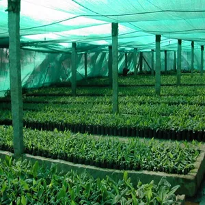 HDPE Monofilament Green Shade Net 50% 75% Shading Plants Windbreaker Shade Cloth thumbnail-5