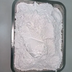Bioactive Glass thumbnail-3