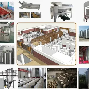 Turkey Project Black Garlic Fruit Vegetable Wine Vinegar Production Line thumbnail-6