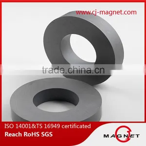 China Y10T Ferrite Magnets for Speakers thumbnail-6
