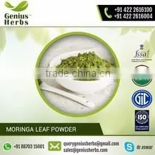 Purest Moringa Leaf Powder Bulk Producers From India thumbnail-1