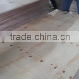 LVL, PLywood, Packing Plywood, Sanding Core Plywood thumbnail-4