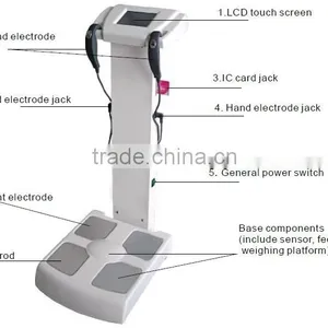 China/new Product Body Analyzer Machine/tanita Body Composition Analyzer thumbnail-5